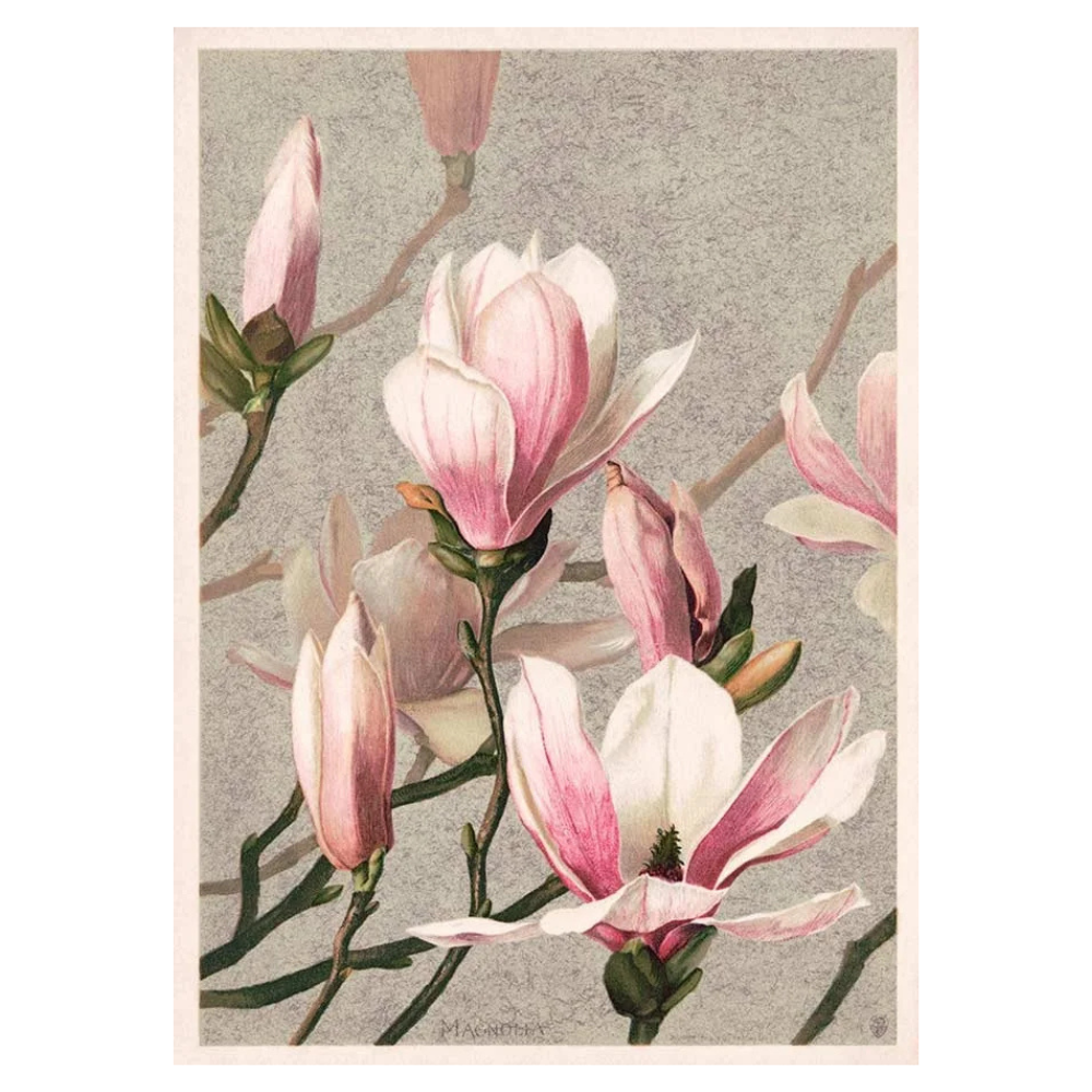 Sonnenaufgang Sonnenuntergang Wandposter