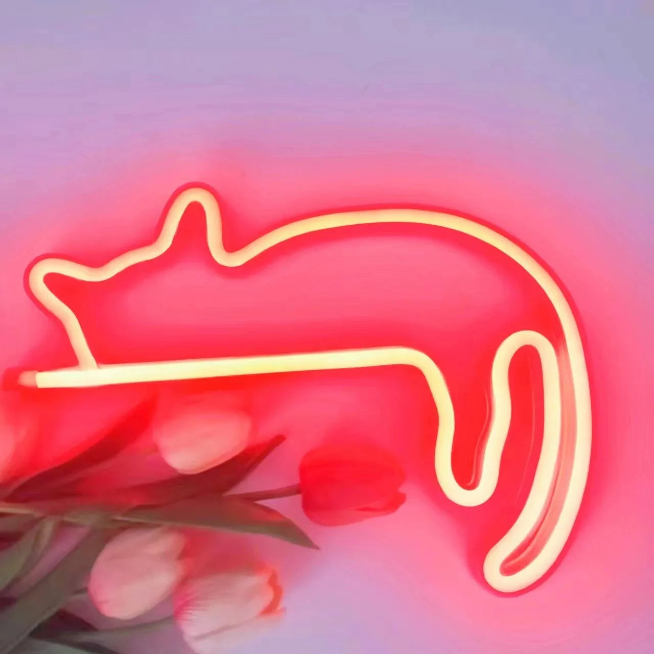 Katze LED Neonzeichen